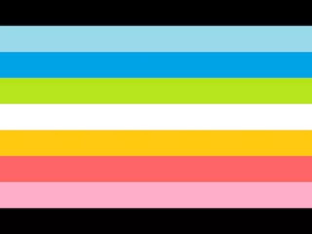 LGBTQ Pride Flags: The Meaning Behind the Colours